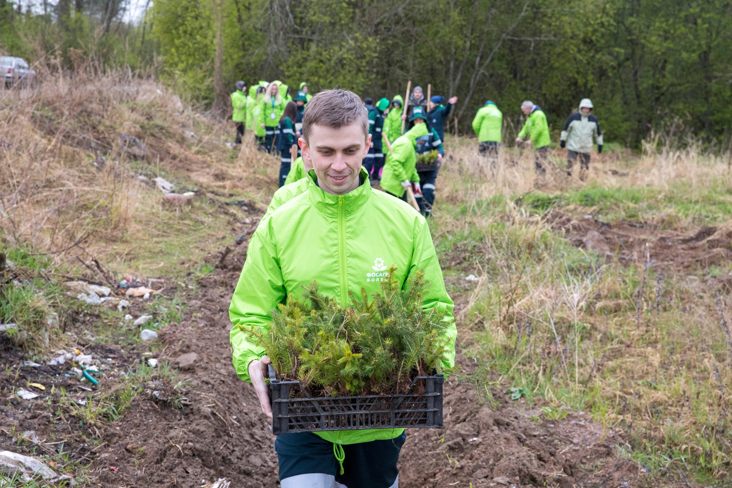 ФосАгро восстанавливает волховские леса - ПРО-ВОЛХОВ