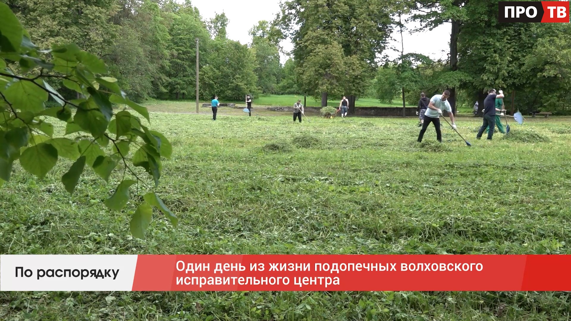 По распорядку: один день из жизни подопечных волховского исправительного  центра (ВИДЕО) - ПРО-ВОЛХОВ